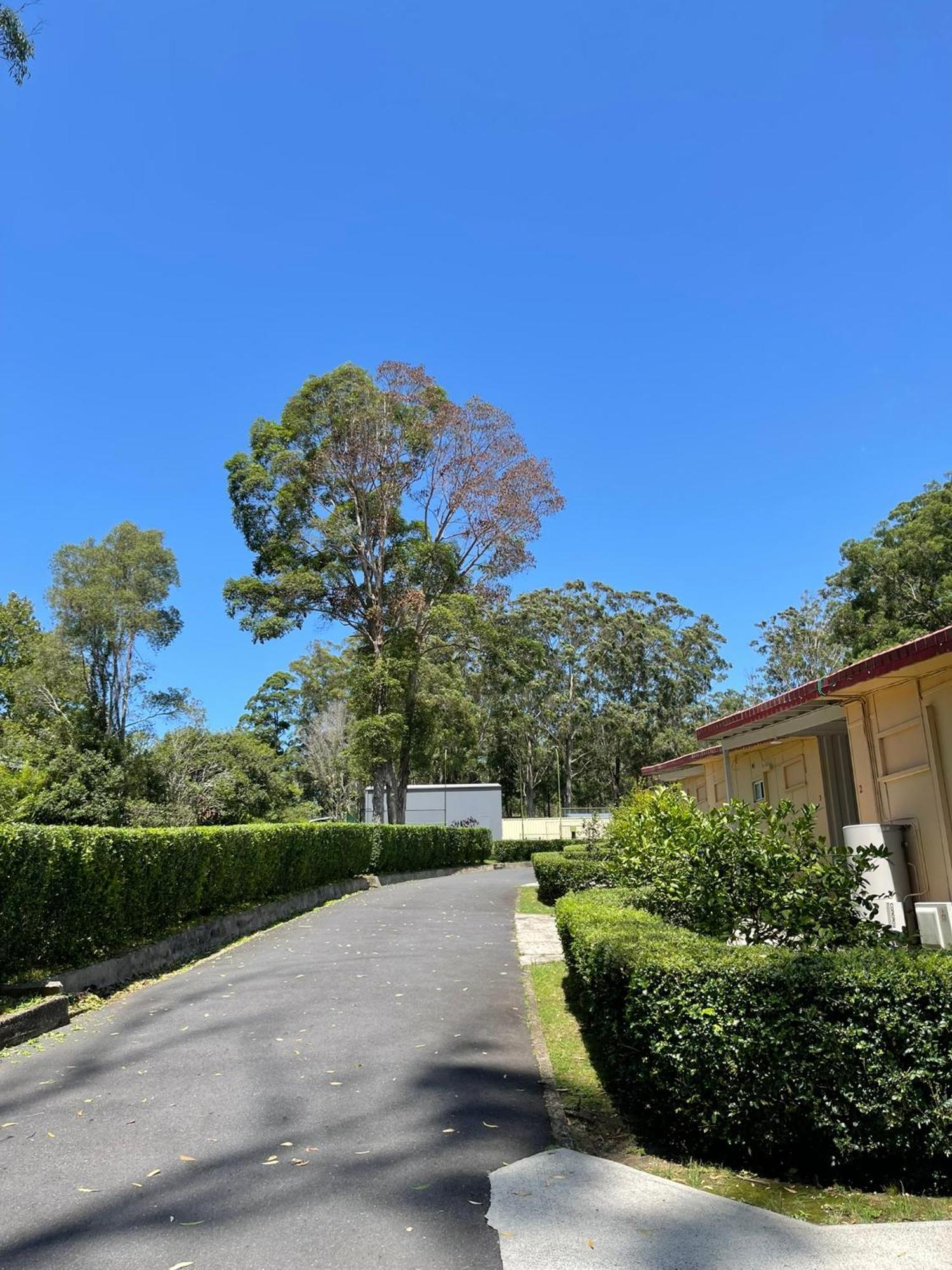 Major Innes Motel Port Macquarie Dış mekan fotoğraf