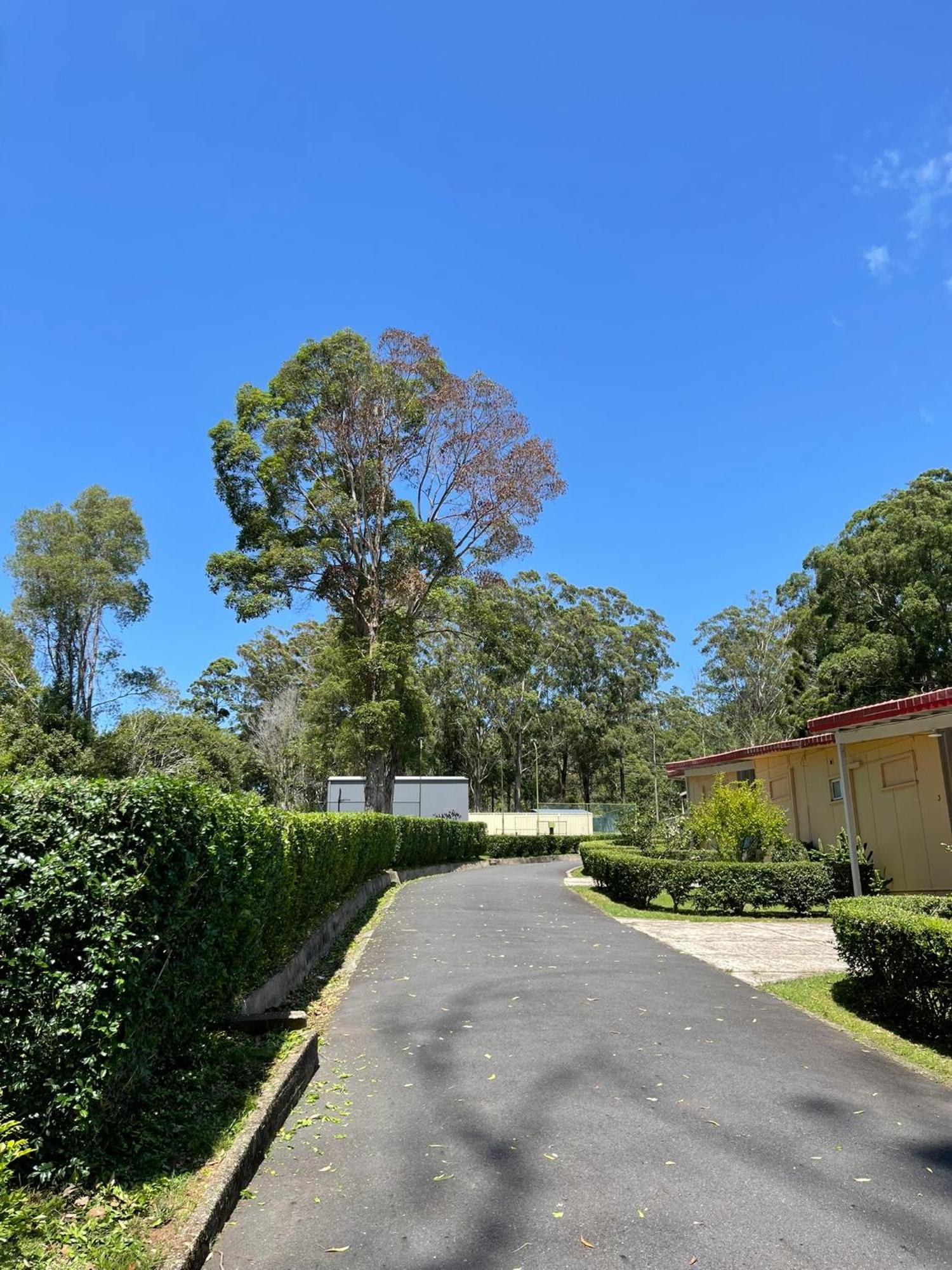 Major Innes Motel Port Macquarie Dış mekan fotoğraf