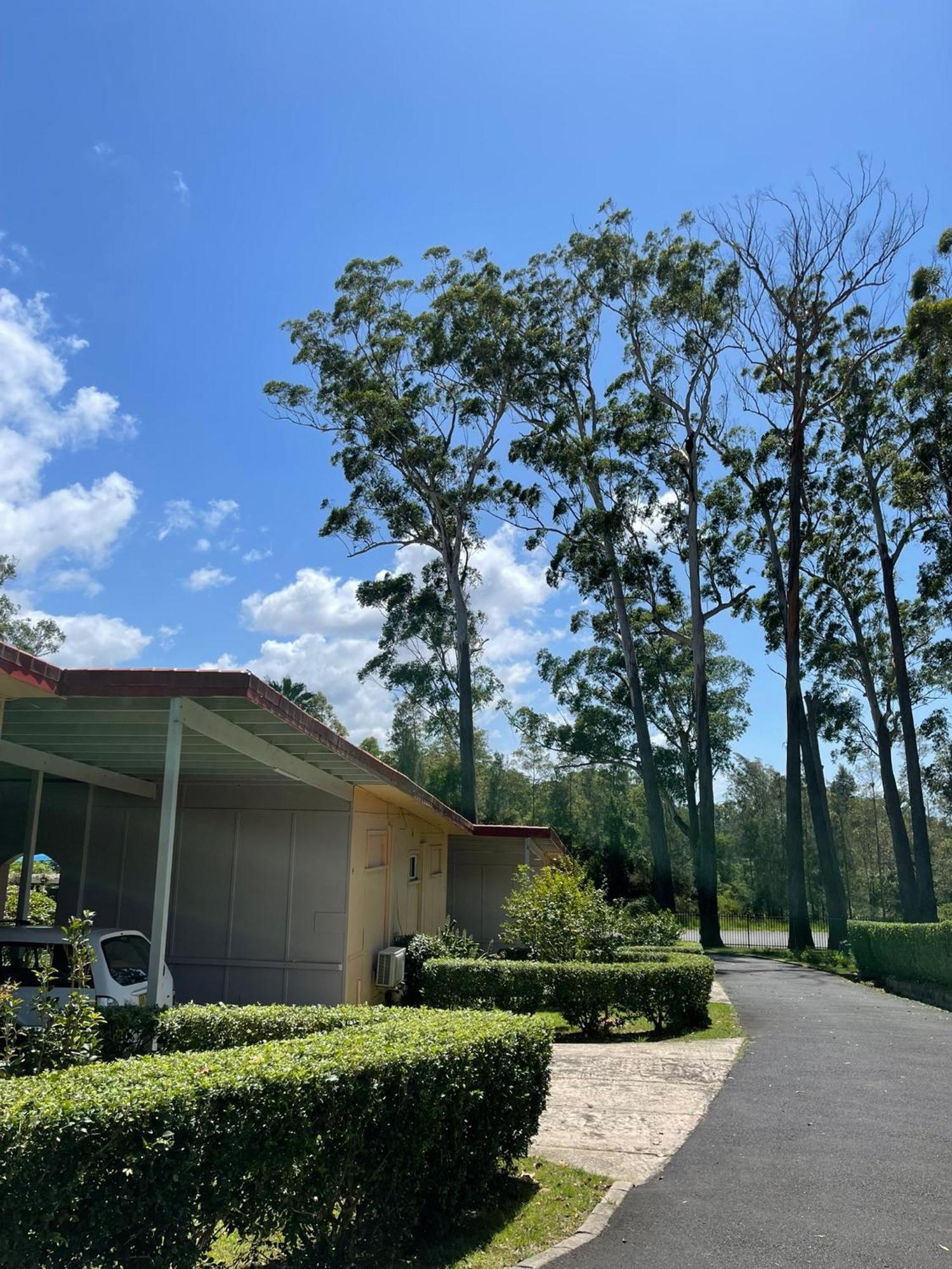 Major Innes Motel Port Macquarie Dış mekan fotoğraf