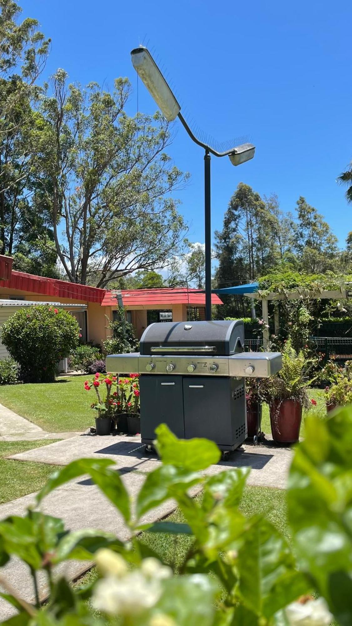 Major Innes Motel Port Macquarie Dış mekan fotoğraf